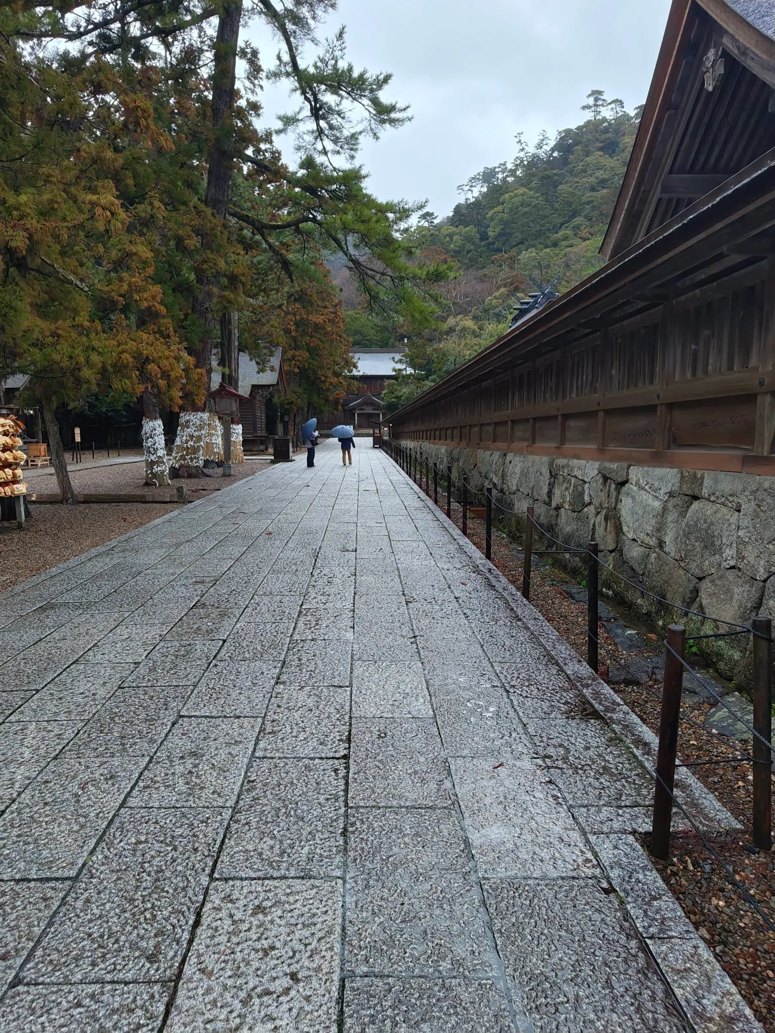 開放された出雲大社の裏側